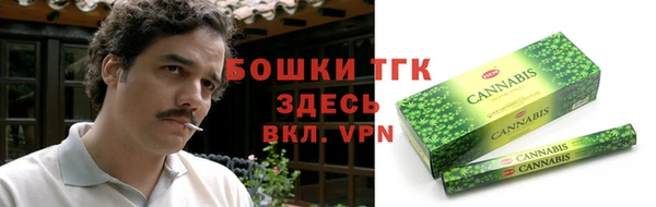 сатива Мегион