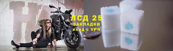 сатива Мегион