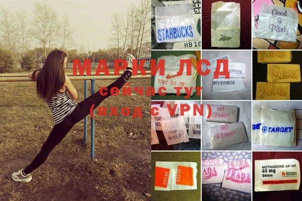 ешки Медвежьегорск