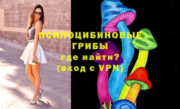 ешки Медвежьегорск