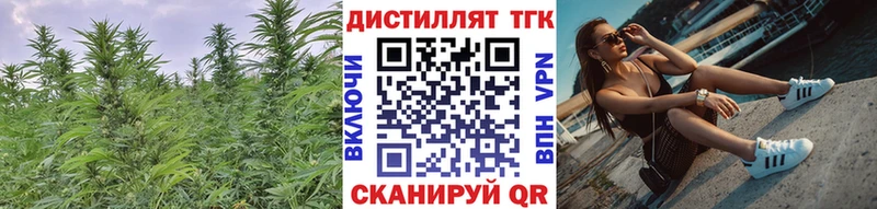 Купить где  Томилино  Дистиллят ТГК THC oil 